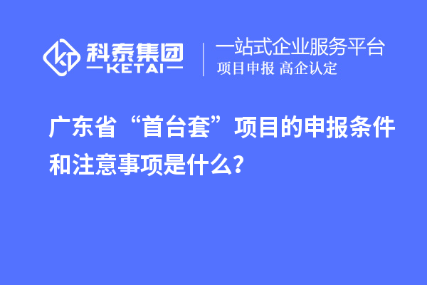 广东省“首台套”项目的申报条件和注意事项是什么？