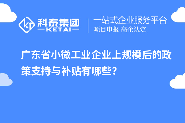 广东省小微工业企业上规模后的政策支持与补贴有哪些？