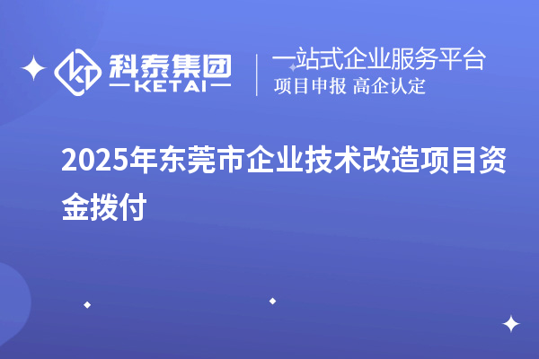2025年东莞市企业技术改造项目资金拨付