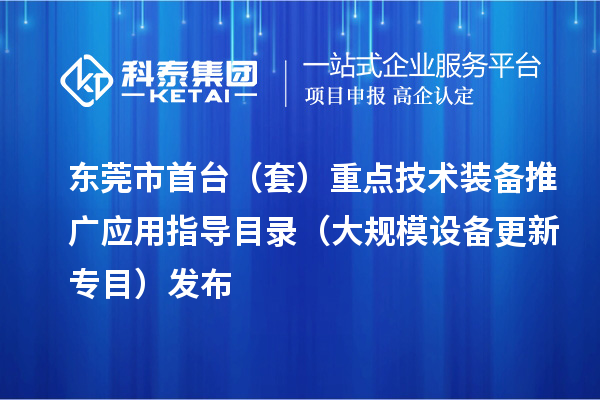 东莞市首台（套）重点技术装备推广应用指导目录（大规模设备更新专目）发布