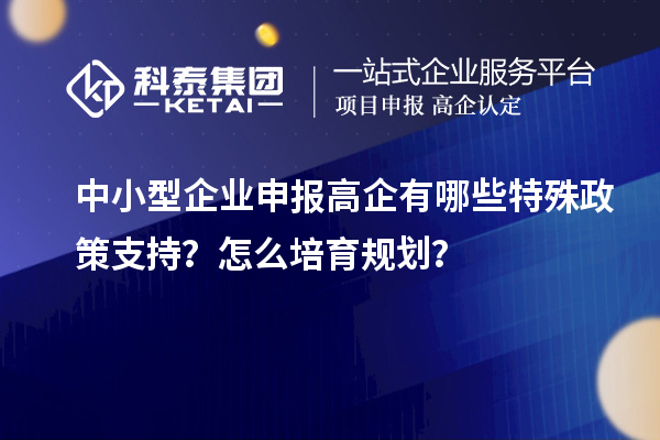 中小型企业申报高企有哪些特殊政策支持？怎么培育规划？