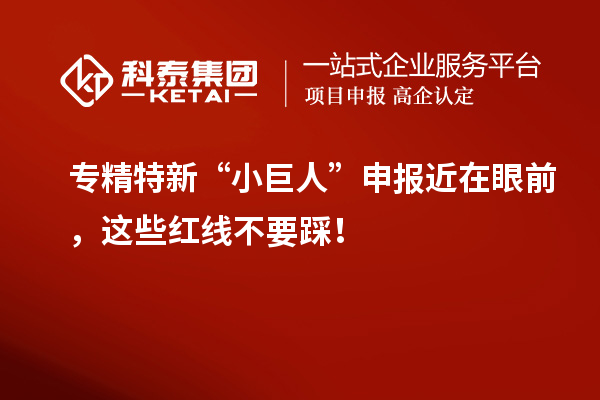 专精特新“小巨人”申报近在眼前，这些红线不要踩！